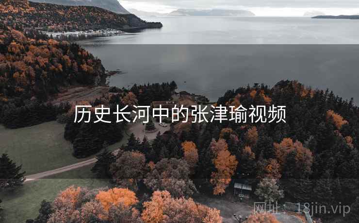 历史长河中的张津瑜视频