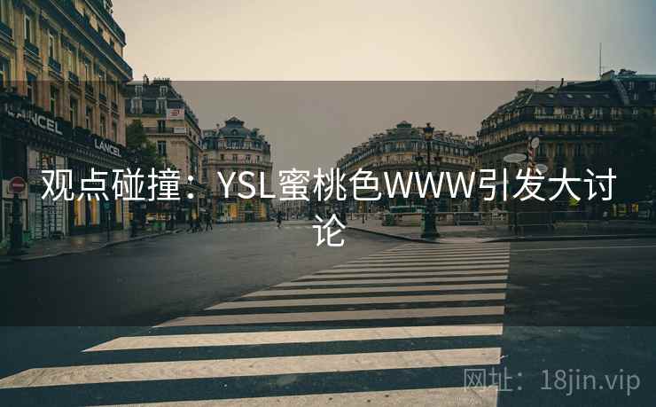 观点碰撞:YSL蜜桃色WWW引发大讨论 第2张 观点碰撞:YSL蜜桃色WWW引发大讨论 第2张