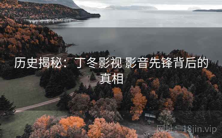 历史揭秘:丁冬影视 影音先锋背后的真相 第1张 历史揭秘:丁冬影视 影音先锋背后的真相 第1张